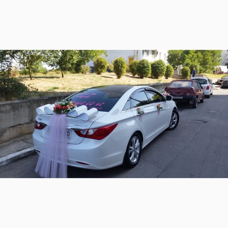 Фото 3. Авто на свадьбу (Mercedes Sprinter, Sonata YF, Vito) Самые низкие цены