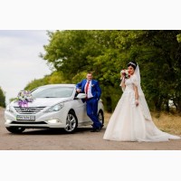 Авто на свадьбу (Mercedes Sprinter, Sonata YF, Vito) Самые низкие цены