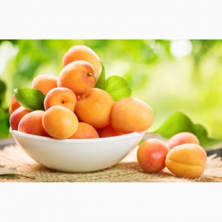 Простые рецепты блюд из абрикоса