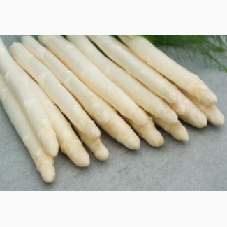 Спаржа саджанці гібриди клас В 30-70 asparagus