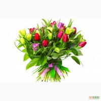 Свежие тюльпаны высокого качества по оптовым ценам!!!!