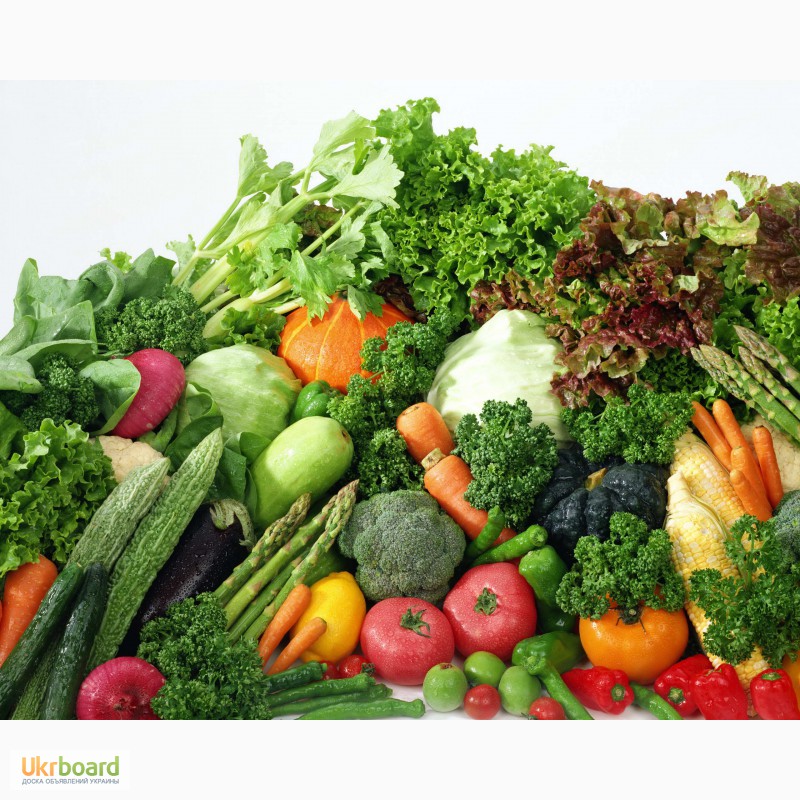 Фото 3. Продам крупным оптовикам сортовые семена овощей и зелени от производителя