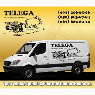 Перевозки грузовые Телега, Грузовое такси Телега