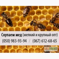 Купим пчелиный мед (куплю мед) крупным и мелким оптом в Луганске
