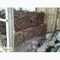 Продам дубові буковi дрова з доставкою кубанами і рубані