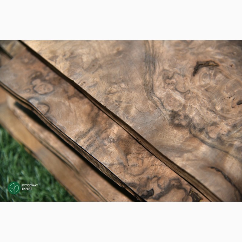 Фото 8. Шпон корінь горіха американського 0, 6 мм - logs / singl