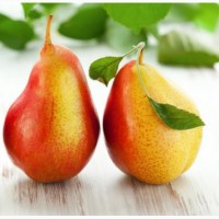Саженцы яблони груши персика сливы абрикоса миндаля десертного