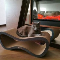 Когтеточка-лежанка cat joy Фьюжн от производителя
