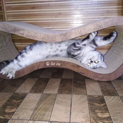 Фото 5. Когтеточка-лежанка cat joy Фьюжн от производителя