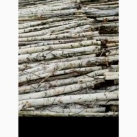 Продам дрова з берези