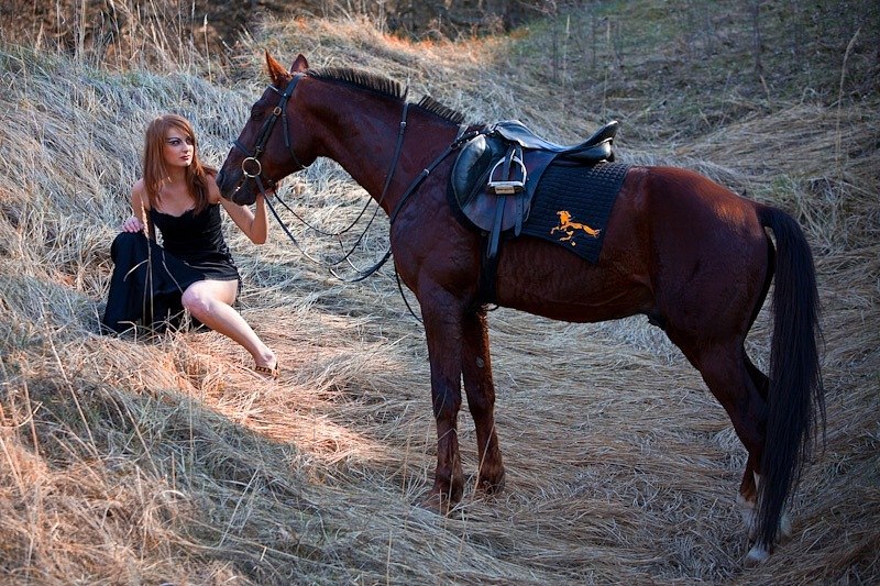 Фото 2. Фотосессии с лошадьми