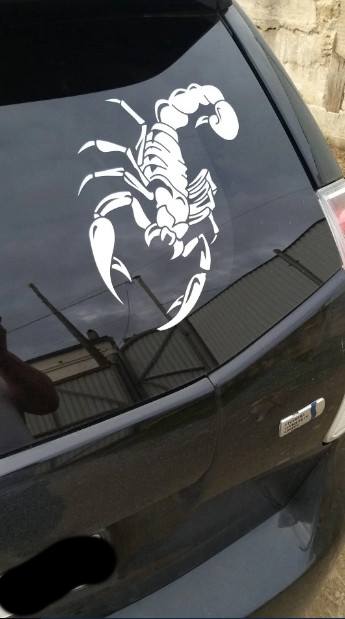 Фото 7. Наклейка на авто Скорпион Белый