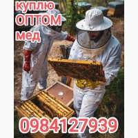 Закуповуємо мед по Дніпропетровській області