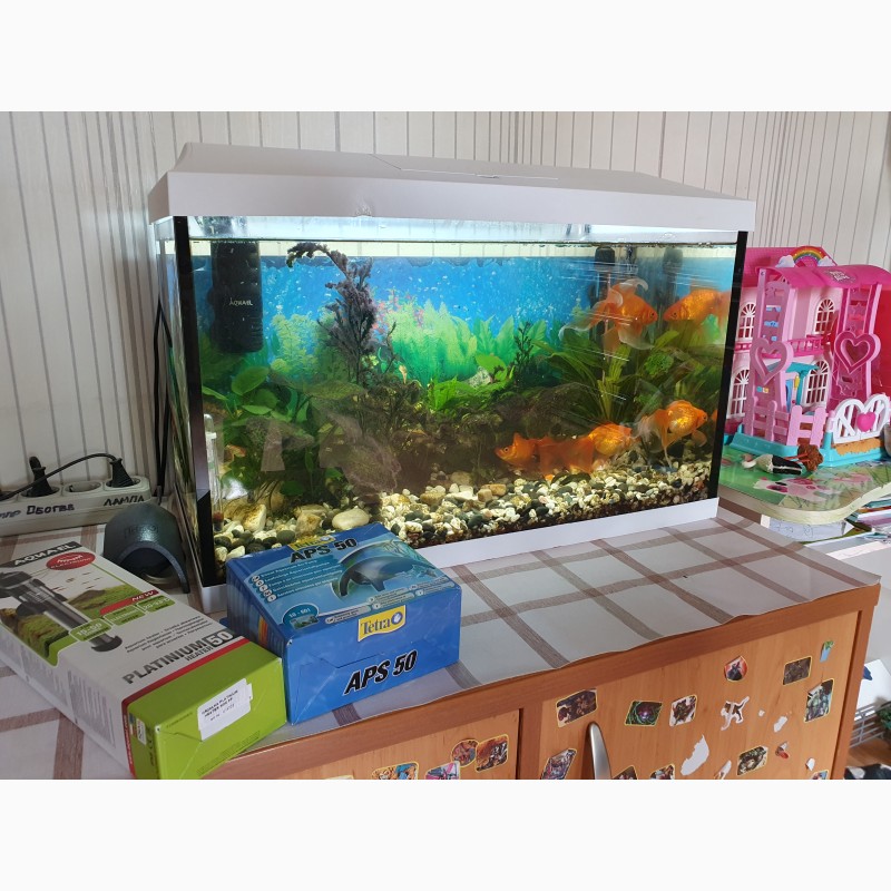 Фото 1/2. Продам аквариум с рыбками
