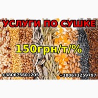 Услуги по сушке кукурузы, семечки, просо