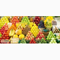 Продажа овощей и фруктов оптом