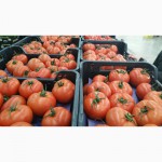 Продаем томаты, помидоры, чери из Испании