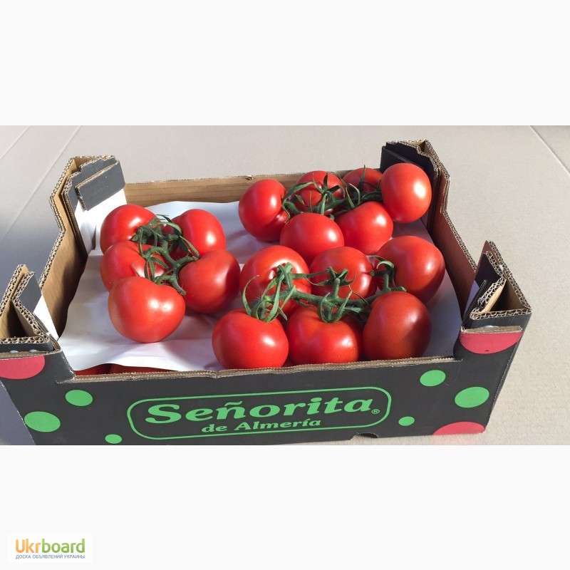 Фото 3. Продаем томаты, помидоры, чери из Испании