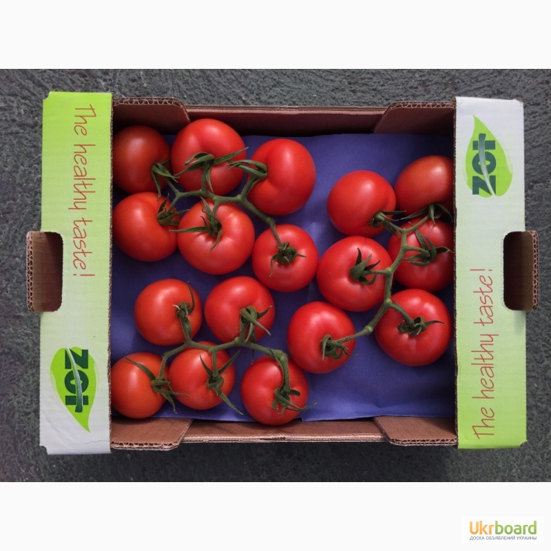 Фото 5. Продаем томаты, помидоры, чери из Испании