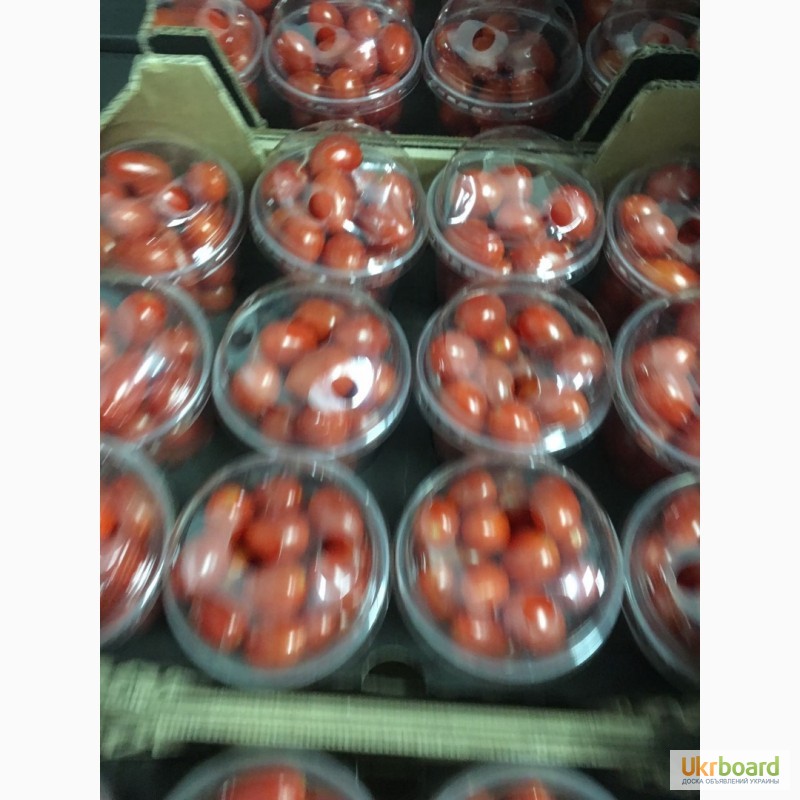 Фото 6. Продаем томаты, помидоры, чери из Испании