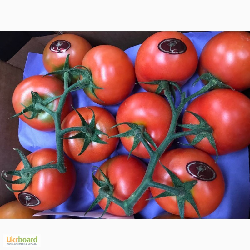 Фото 8. Продаем томаты, помидоры, чери из Испании