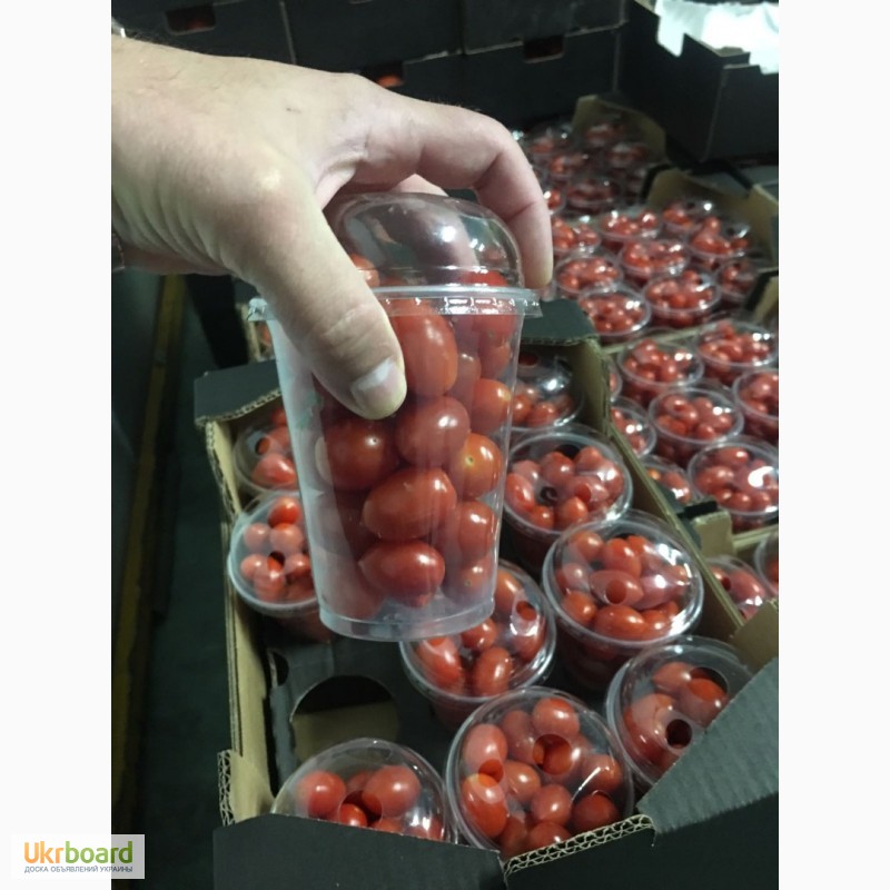 Фото 9. Продаем томаты, помидоры, чери из Испании