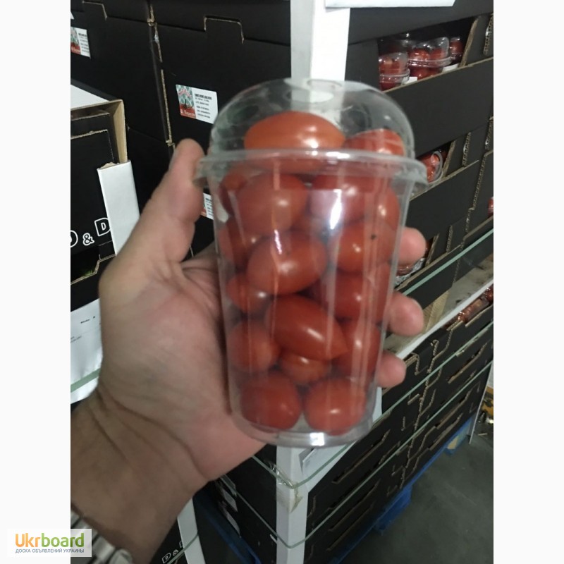 Фото 10. Продаем томаты, помидоры, чери из Испании