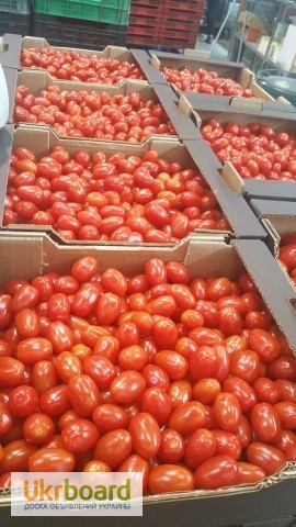 Фото 18. Продаем томаты, помидоры, чери из Испании