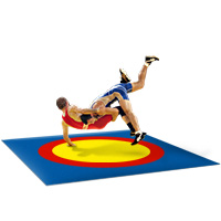 Фото 4. Борцовский ковер трехцветный, олимпийский с кругами 10м х 10м