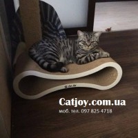 Когтеточка Авангард для домашних питомцев от производителя Catjoy