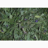Кипрей, иван-чай (лист) 50 грамм