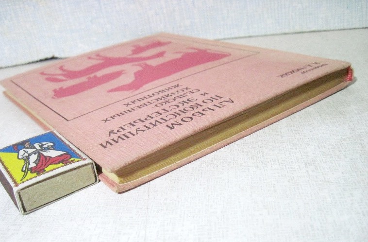 Фото 14. Альбом по конституции и экстерьеру сельскохозяйственных животных свиней овец лошадей 1972
