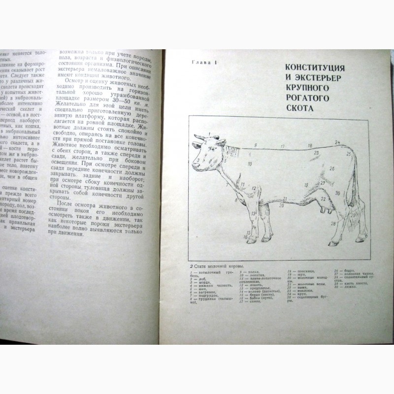 Фото 3. Альбом по конституции и экстерьеру сельскохозяйственных животных свиней овец лошадей 1972
