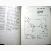 Альбом по конституции и экстерьеру сельскохозяйственных животных свиней овец лошадей 1972