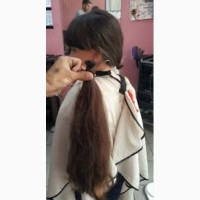 Купуємо волосся дорого у Житомирі від 35 см та області до 125 000 грн