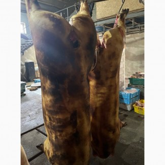 Мясо свинины цена Одесса