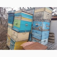 Продам улики для пчёл б/у