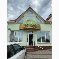 Продам действующий бизнес в Лисичанске