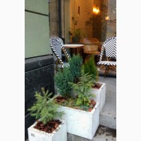 Озеленення кав#039;ярні, літньої тераси / Озеленение кафе, летней площадки