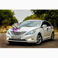 Авто на свадьбу (Mercedes Vito, Sonata YF, Sprinter) Самые низкие цены