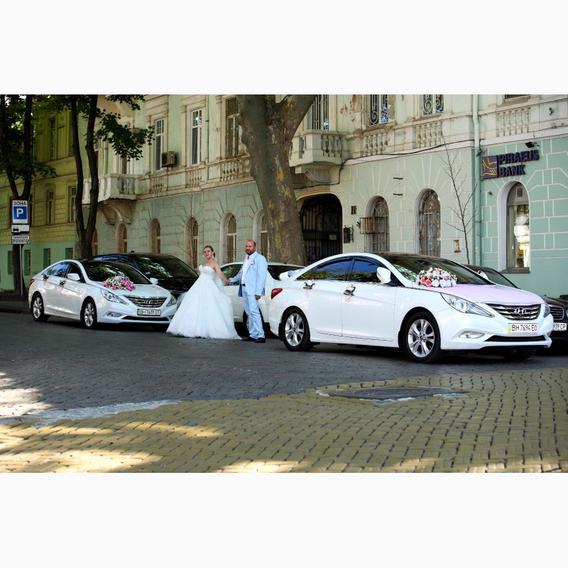 Фото 7. Авто на свадьбу (Mercedes Vito, Sonata YF, Sprinter) Самые низкие цены