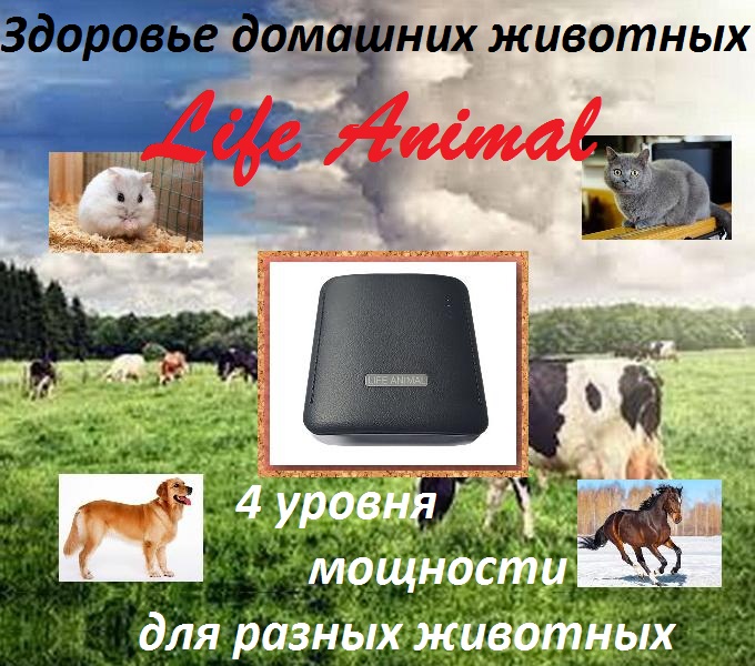 Фото 3. Лечение животных дома прибором Life Animal. Антипаразитарная и другие программы|Кешбек 10%