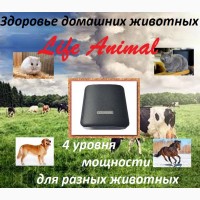 Лечение животных дома прибором Life Animal. Антипаразитарная и другие программы|Кешбек 10%