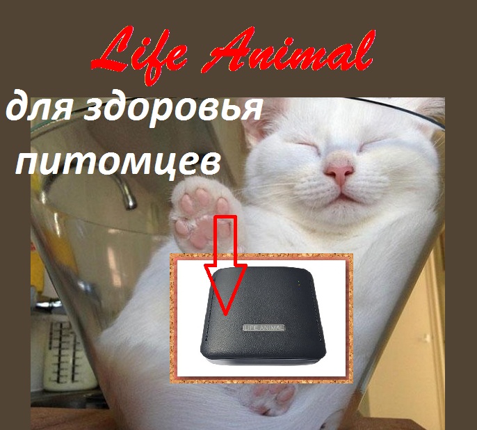 Фото 4. Лечение животных дома прибором Life Animal. Антипаразитарная и другие программы|Кешбек 10%