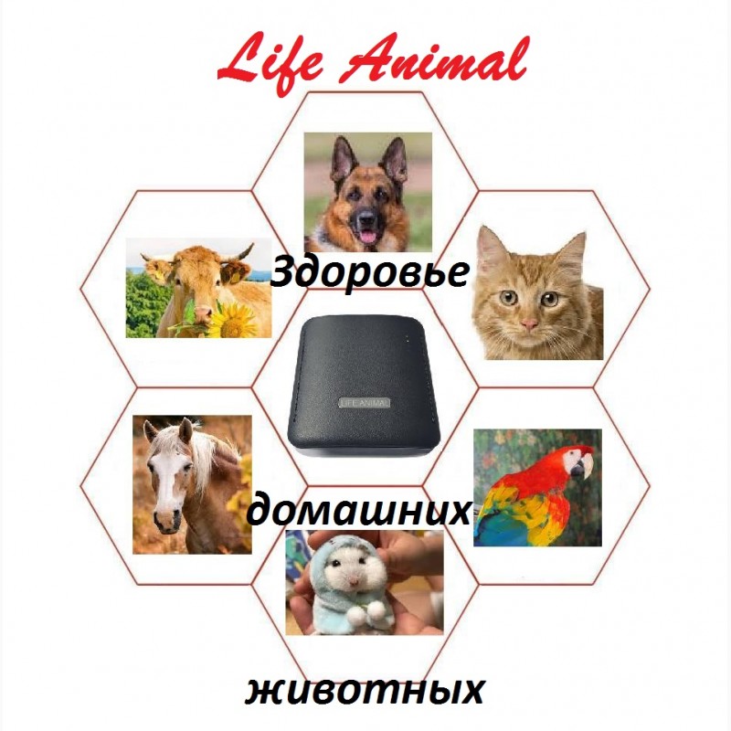 Фото 5. Лечение животных дома прибором Life Animal. Антипаразитарная и другие программы|Кешбек 10%