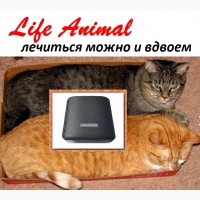 Лечение животных дома прибором Life Animal. Антипаразитарная и другие программы|Кешбек 10%