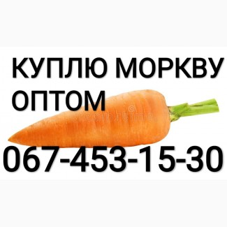 Куплю моркву цибулю
