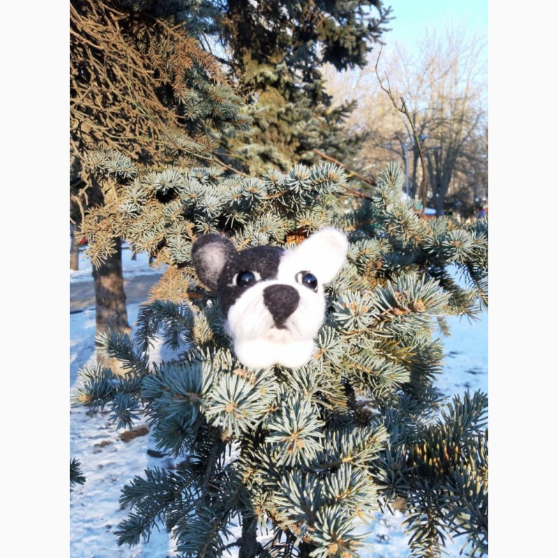 Фото 4. Французкий бульдог собака игрушка хендмэйд валяная интерьерная песик ручная работа пес