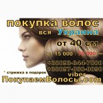 Продать волосы в Киеве Продать волосы дорого Киев и область