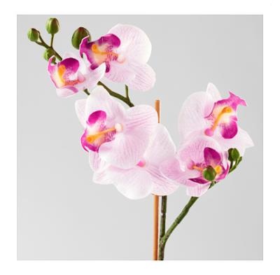 Фото 2/2. Орхидея сиреневaя Fejka Фeйка от Икеа